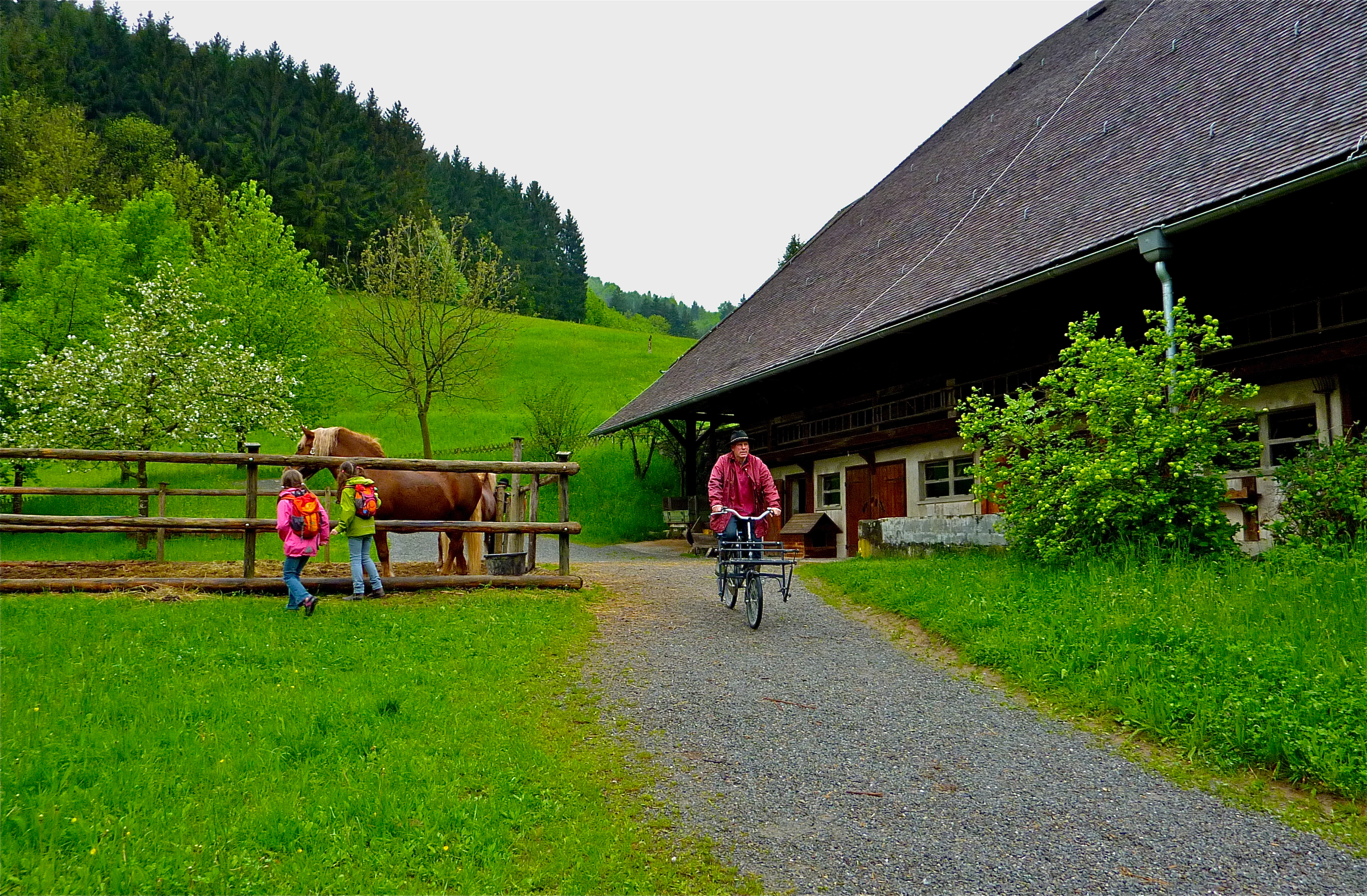 德国黑森林 露天博物馆之二(schwarzwald-vogtsbauernhof)