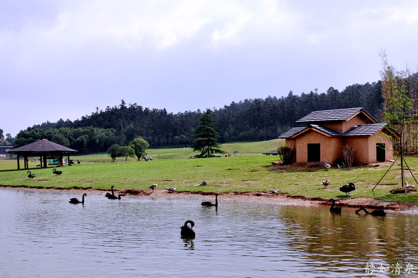 安吉百草園