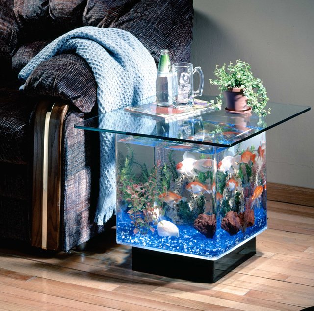 aqua 茶几鱼缸 - 心愿星雨狐 - 心愿星雨狐的博客