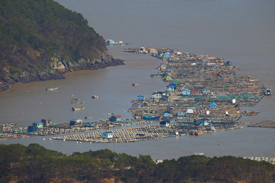 【霞浦花竹】放眼福瑤島,登山觀日出