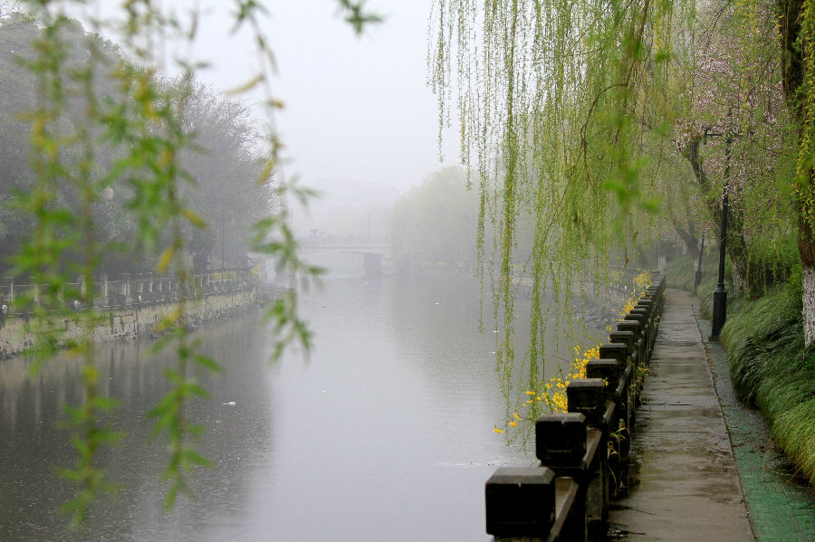 烟雨蒙蒙下如皋