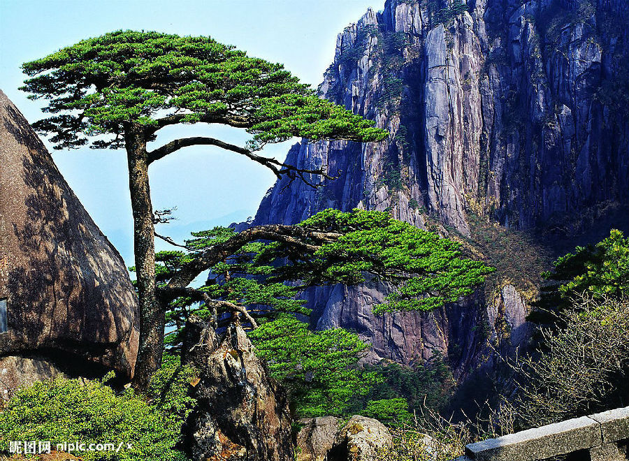 绿化庭院提升运气