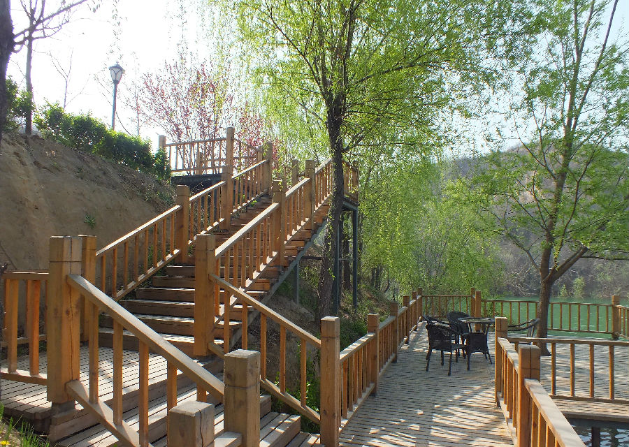 文博森林公园续完