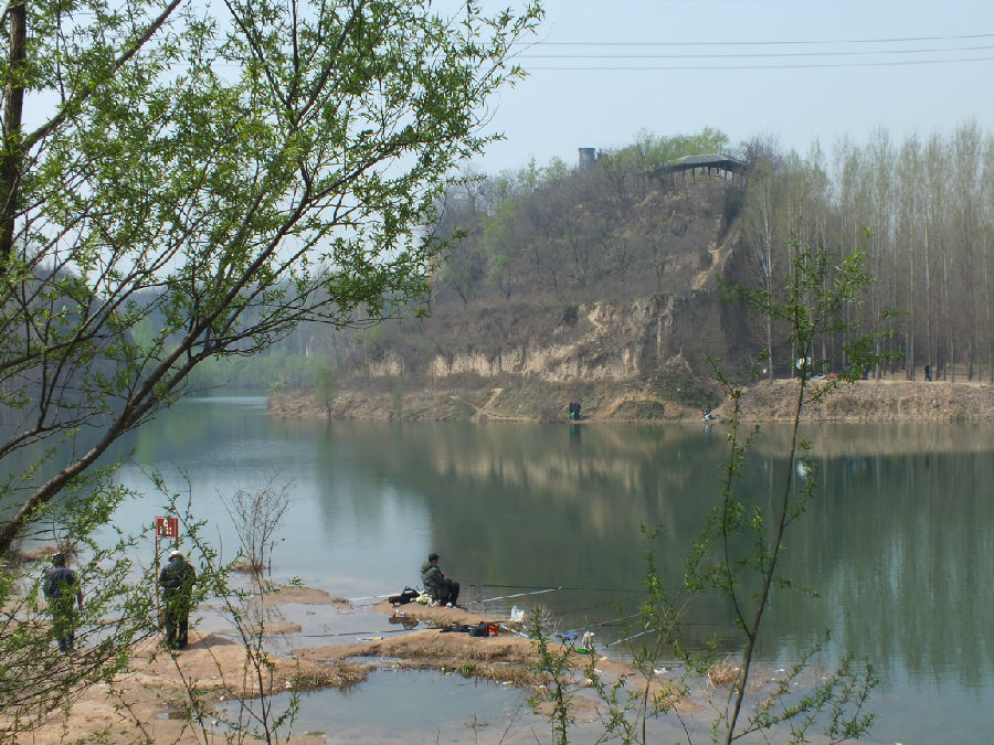 文博森林公园续完