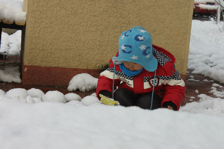 可可正在踩馒头.