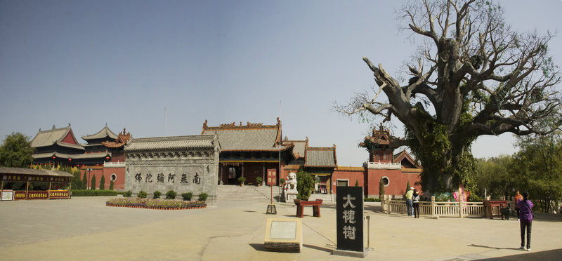 山西大槐树寻根,洪洞老鹳窝祭祖-山西黄河行之四