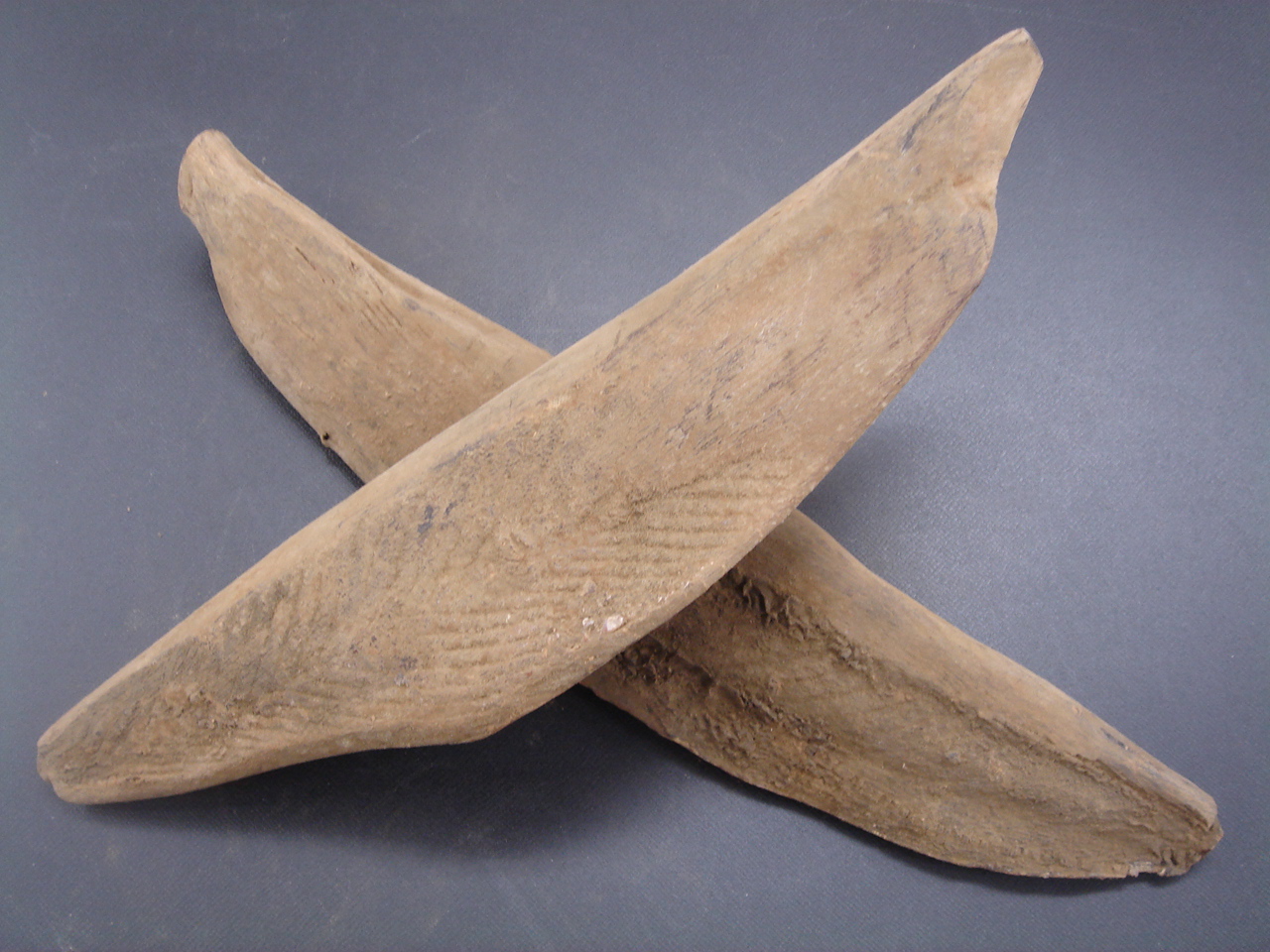 日本的老妈妈跪在榻榻米上,手里握着鲣鱼干,在这个东东的刀口上一下