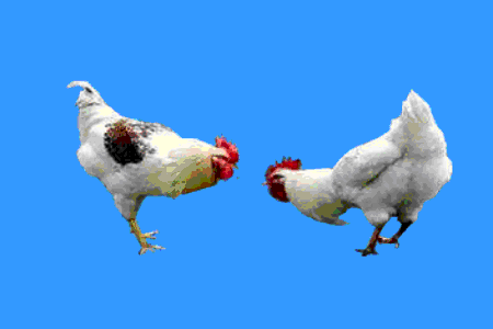 哈尔滨清滨公园和丽景花园是我写地书的好地方